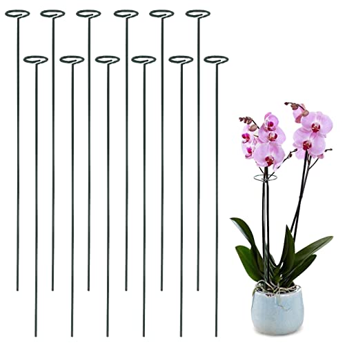 Growneer 12 Packs 36 Inches Garden Flower Support Plant Support Stakes, With 15 Pcs Plant Labels, Single Plant Stem Flower Support For Flowers, Orchid, Peony, Lily, Rose #TOP26