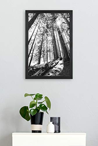 Mcs Studio Gallery Frame, Black Woodgrain, 16 X 24 In, Single #TOP6