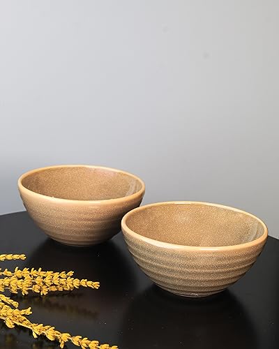 VOLA Organic Big Bowl Set of 2 Aesthetic Design Made with Ceramic (Porcelain) Premium Material Home & Office Use Kitchen & Dining Luxury Tableware Ide