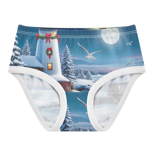 Toddler Underwear Floral 2t Cotton Cute Panties Girl Fancy Briefs Undies Kids Coastal Winter Scene Glowing Lighthouse