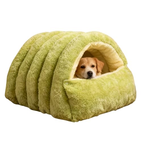 �L�x�b�h - �~�g�����܂肽���݃n�E�X�A�􂦂鏬�^���p�x�b�h | �L�x�b�h�q�L�A�q���A�y�b�g�̂��߂̉����L�̓��A |���r���O���[���A�o���R�j�[�A�����G�߁A�N���X�}�X�Ȃǂ̋��S�n�̗ǂ��ƂƃA�p�[�g�̎g�p