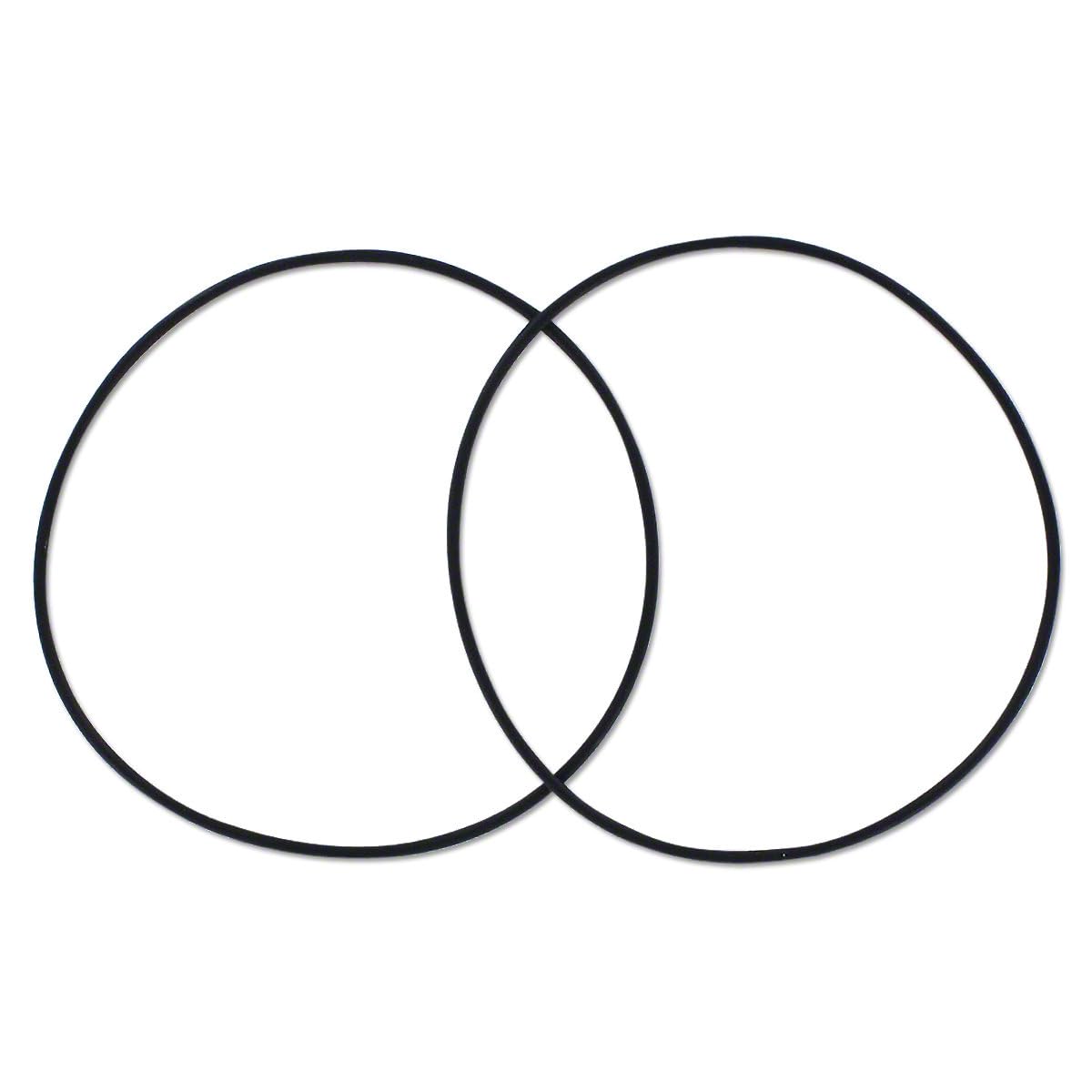 Sleeve Sealing O-Ring Set of 2 (for 1 Cylinder) Fits Case White/Oliver Tractor G46888 A44003 14461280 1B179 KA179