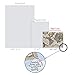 The Best Card Company - 10 Assorted Blank All Occasions Vintage Globe Charts Notecards Boxed Set 4 x 5.12 Inch w/Envelopes, Stationery for Men, Women (10 Designs, 1 Each) - Map Quests M3076