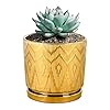 Ton sin gold plant pots55 inch flower pots with drainage holesround indoor pot for plants ceramic planters with sauceroutdoor garden pots  urban country home decor