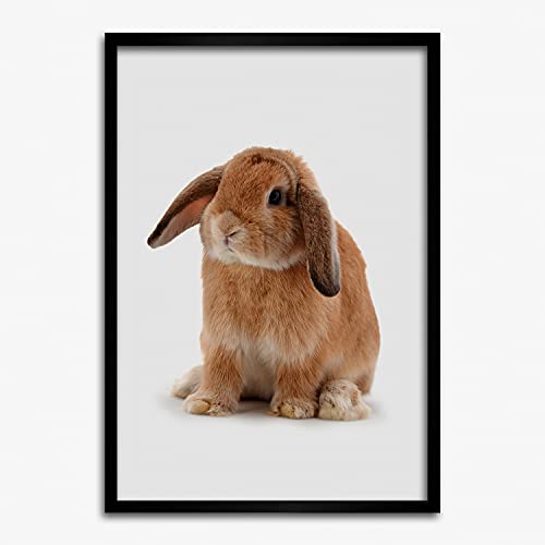 Cadre 50x70 cm Tulup pour habiller un mur vide facilement avec tableau moderne et affiche lapin