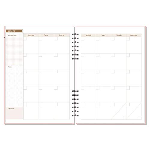 Planner Permanente Compacto Mensal Gatos Fina Ideia 6710
