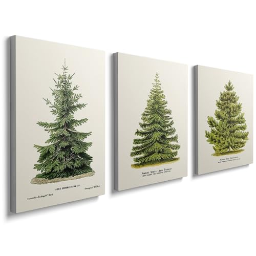 Image of prinfantasy Canvas Wall Art 3 Pictures Aesthetic Tree Framed Poster Prints for Home Office Decoration 0611