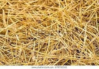 Premium Garden Straw (4 LBS) - Straw Mulch That is Designed for Use in Compost Beds, Gardens, Pet Bedding, Lawns and Much ...