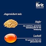 Brit Premium by Nature Sensitive Lamm Sucha karma dla dorosłych psów, hipoalergiczna i bez zbóż, baranina, 15 kg