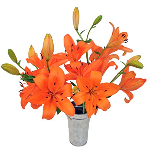 Stargazer Barn -Autumn Lily Bouquet - Vibrant orange royal lilies - Vase Included
