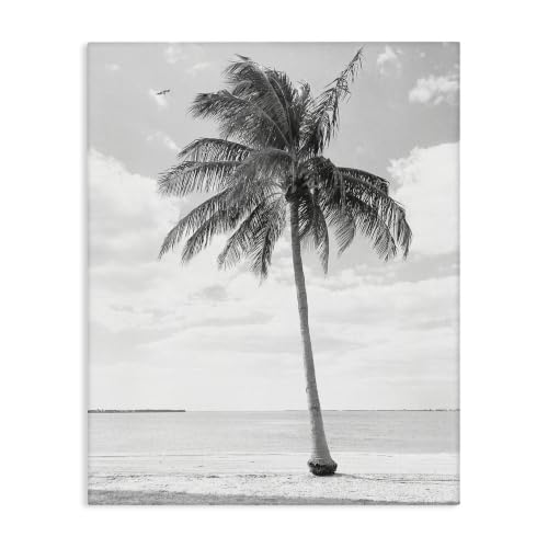 Stupell Industries 'Single Palm Tree Monochrome Tropical Beach'| Canvas Art