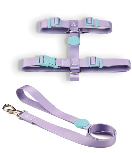 Conjunto Peitoral H E Guia PP Lilás