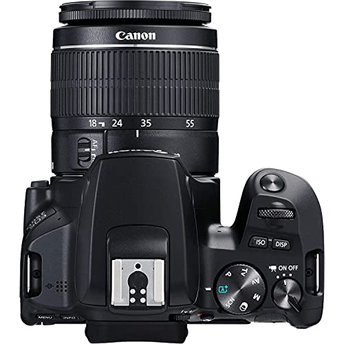 Canon Eos 250D / Rebel Sl3 Dslr Camera With 18-55Mm Lens + Creative Filter Set, Eos Camera Bag + Sandisk Ultra 64Gb Card + 6Ave Electronics Cleaning Set, And More (International Model) (Renewed) #TOP3