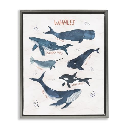 Nautical Whale Narwhal Diagram, 16 x 20 Inch Canvas in Floater Frame