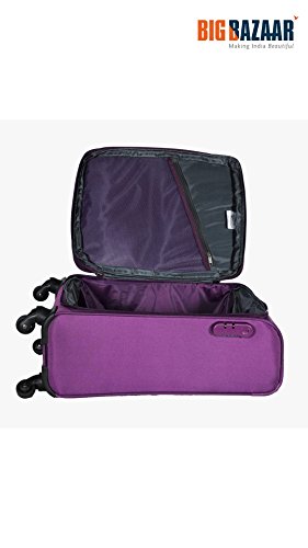 Image of American Tourister Polyester 70 cms Purple Carry-On (1000714461001)