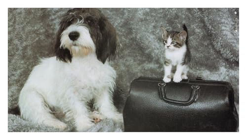 WINGS Craft & Fundraising Supply Checkbook Cover with Choice of Bank Transaction Register, Wildlife & Animals (Dog Kitten, +1 Large Print Register)