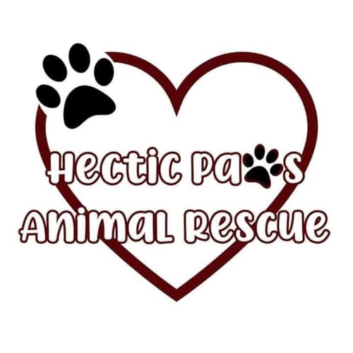 season 3 episode 4 hectic Paws animal rescue