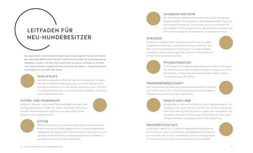 Finde den Hund, der zu dir passt: Sportskanone, Familienhund oder Sofapartner – Der ideale Begleiter für deinen Alltag. Mit den 30 beliebtesten Hunderassen (GU Mensch-Hund-Beziehung)