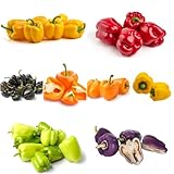 El crecimiento depende del suelo y las condiciones climáticas.