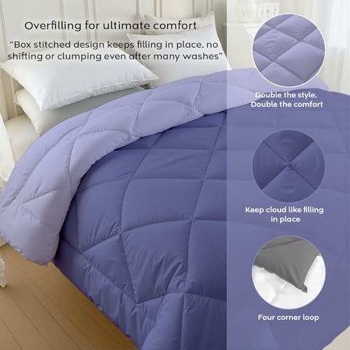 Image of AYKA Reversible AC Comforter 150 GSM Lightweight Microfiber Summer Blanket for Single Bed (60x90 Inches) | Soft Cooling Quilt, Breathable All Season Duvet for AC Room | Lavender & Blueberry