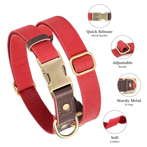 Didog Weich gepolstertes Lederhalsband für mittelgroße Hunde, klassisches Hundehalsband mit Metall-Schnellverschluss, verstellbar, mittelgroß, Kunstleder, Rot, M