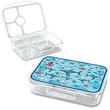 Coffret De 52 Billes Requin - Billes & Co