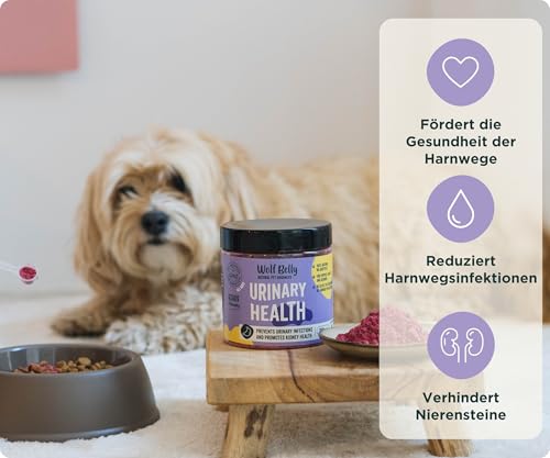 Wolf Belly - Bei Blasenentzündung für Hunde und Katzen 100% Natürlich (180 g) mit Cranberry und Vitamin C | Struvitsteine Auflösen und Unterstützt Nierengesundheit | Pulverform - Made in Europe
