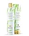 Pantene Nutrient Blends Hair Volume Multiplier Silicone Free Bamboo Conditioner For Fine, Thin Hair, 8.0 Fl oz, 6.257 Fl oz