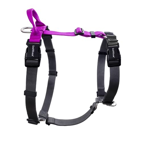 LufeLux Non Restrictive No Pull Dog Harness, Neck Buckle Desgin, Lightweight Easy Walk Freedom...