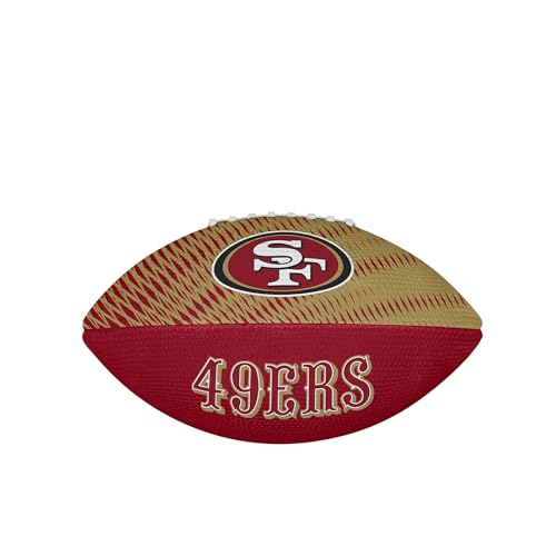 Image of WILSON Unisex NFL Team Tailgate Footballs