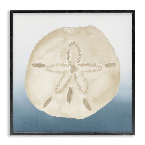 Sand Dollar Seashell Nautical Beach, 17 x 17 Inch Framed Giclée Print
