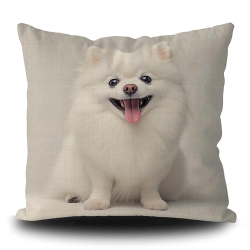 Regalo per gli amanti dei cani: i simpatici cuscini per cani sono un'ottima scelta regalo per Natale, compleanno, San Valentino, festa del papà, festa della mamma, giorno del Ringraziamento, ecc.