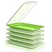 PracticDomus Porta Embutidos y Alimentos Sistema Fresh, Conservación Optima de Lonchas en Nevera, Medidas 25.2 x 17 x 3.2 cm (5X Verde)