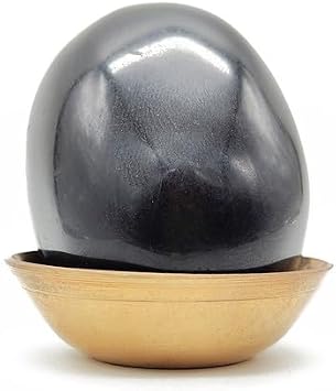 Natural Pure Stone of God Vishnu Shaligram Under Tulsi Mata Tree | Shaligram Black Stone from Gandaki River Nepal | Shaligram Stone for Pooja Height 5.5 cm | Weight 118 gm