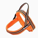 Truelove Dog Harness Reflective Security...
