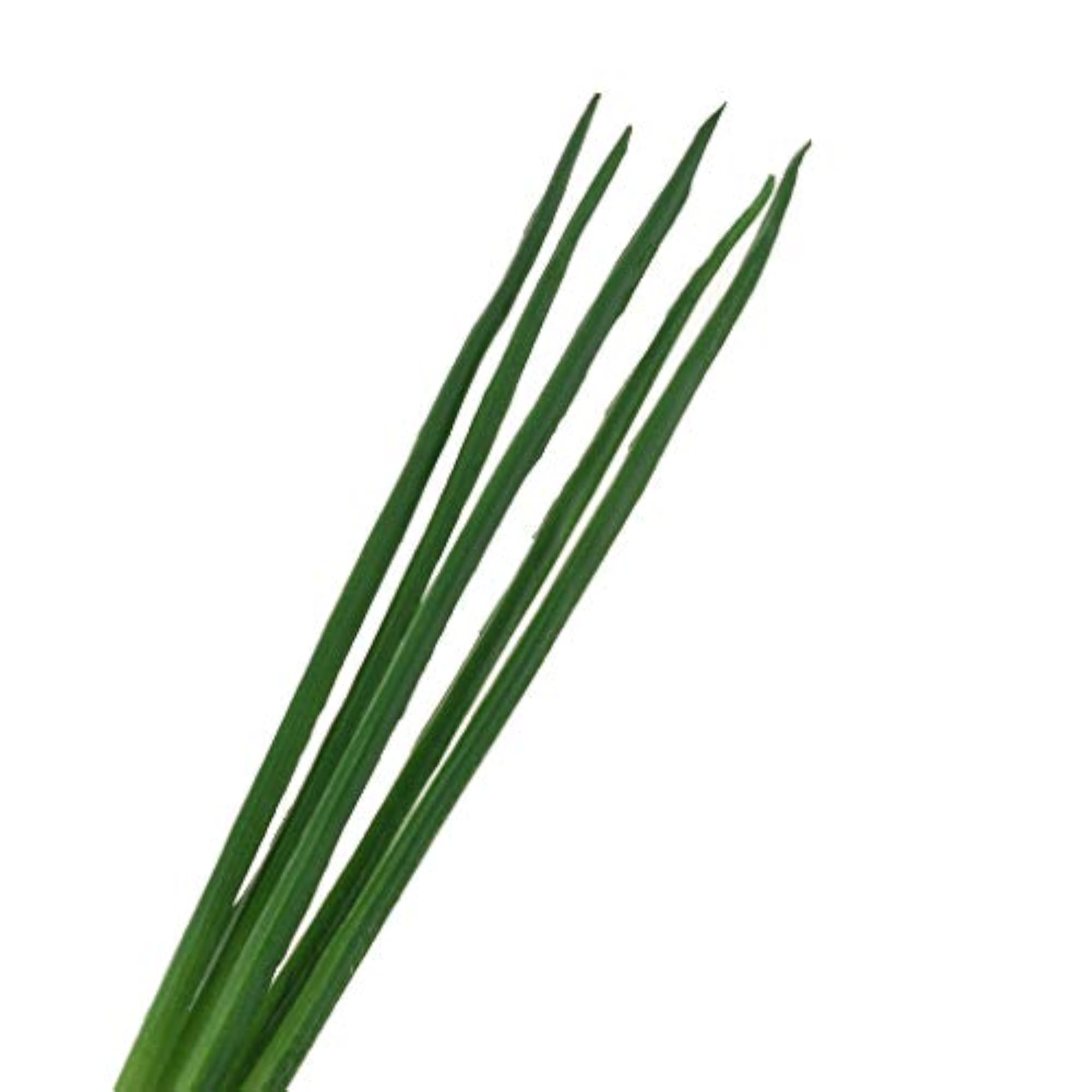 Artificial Vegetable Display Shallot for Kitchen Decor