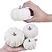 BESTTOYHOME 12 PCS Assorted Sizes Rustic Harvest White Artificial Pumpkins for Halloween, Fall Thanksgiving Decorating Harvest Embellishing and Displaying