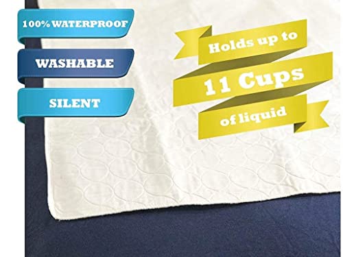 Wet Detective Bedwetting Kit, Incontinence & Bedwetting Alarm System, Includes 2 Sensor Pads #TOP7