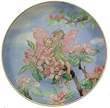 Maßnahmen ca. 19.5 cms Durchmesser