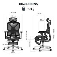 FLEXISPOT Ergonomischer Bürostuhl ErgoX Lite Grau – Ansicht 2