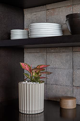 Image of Veradek Demi Series Demi 6 inch Planter w /Tray - Sand, 2 Pack