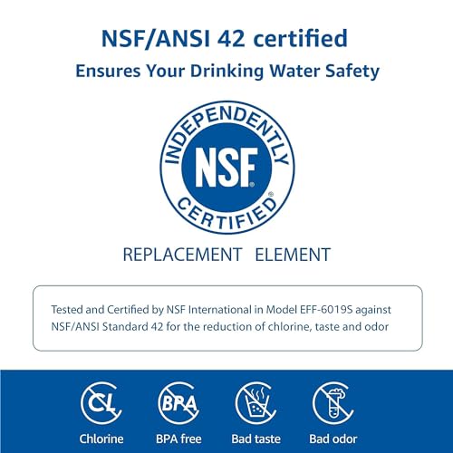 Waterspecialist Replacement for GE® RPWFE®, RPWF (Built-in CHIP) Refrigerator Water Filter, Compatible with GYS22GMNES, GYE22HSKSS, PYE22PELDS, GFE26GMKES, GFE26GGHWW, GFE28GYNFS, PFE28KYNFS