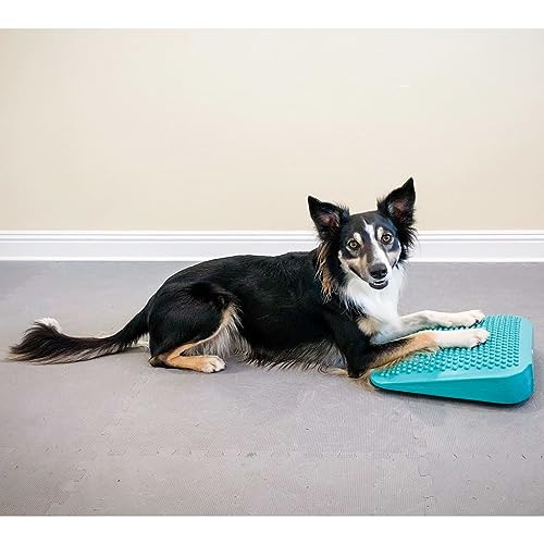 FitPaws® Balance Ramp, Aqua | Dog Exercise Equipment | Workout Tool for Strength, Core, Stability & Rehabilitation