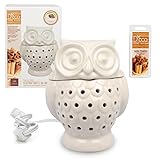 Deco Electric Candle Warmer, Wax & Tart Warmer, Includes 4 Wax Cubes