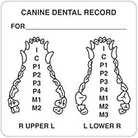 Vista 1 de Pegatinas de examen dental veterinario canino, Doctor Stuff Veterinarian Stickers, 2-1/2" x 2-1/2", Blanco, 390/Roll, Tabbies Veterinary V-AN432