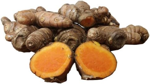 Amazon Co Jp E 0003 生秋ウコン 約500g ドラッグストア