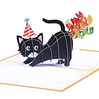 3D Pop Up Birthday Card with Black Cat Design, Funny Handmade Greeting Card for Cat Lovers, 13 * 18cm with Envelope