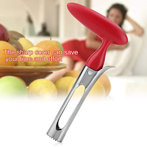 Pineapple Corer, Stainless Steel Cutter and Slicer Tool Pear Corer Tool Stainless Steel Corer Fruit Seed RemoverSharp Fruit Corer - Image 4