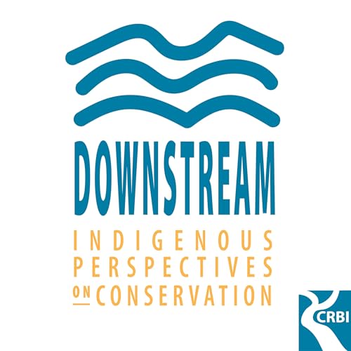 Downstream Podcast Podcast Por Coosa River Basin Initiative arte de portada