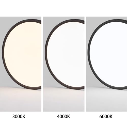 Lampe de plafond 2700K-6500K dimmable avec télécommande pour chambre à coucher - 2
